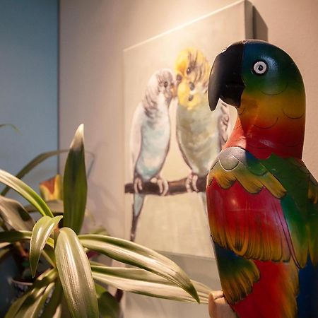 Apartament U Olechny 5 بيدغوستيا المظهر الخارجي الصورة