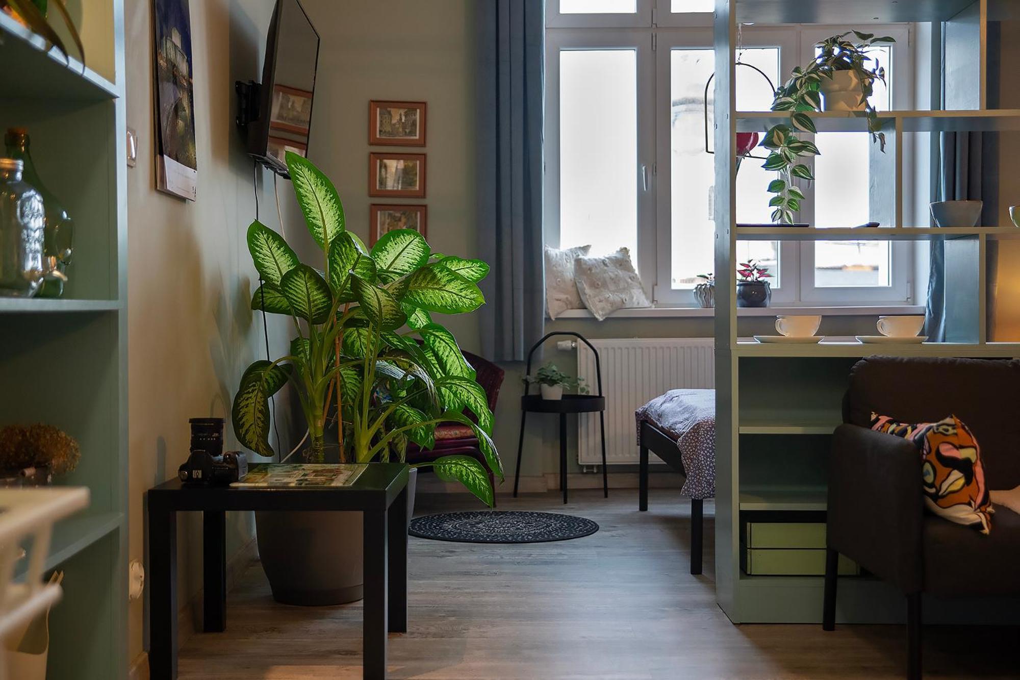 Apartament U Olechny 5 بيدغوستيا المظهر الخارجي الصورة